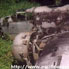 B-25H-5-NA SN 43-4513